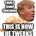 TURKEY TRUMP TWKERKING; THIS IS HOW HE TWERKS | image tagged in turkey trump twerks | made w/ Imgflip meme maker