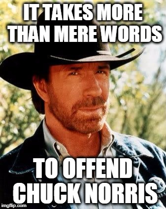 Chuck Norris Meme | IT TAKES MORE THAN MERE WORDS; TO OFFEND CHUCK NORRIS | image tagged in memes,chuck norris | made w/ Imgflip meme maker