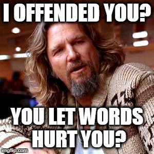 Confused Lebowski | I OFFENDED YOU? YOU LET WORDS HURT YOU? | image tagged in memes,confused lebowski | made w/ Imgflip meme maker