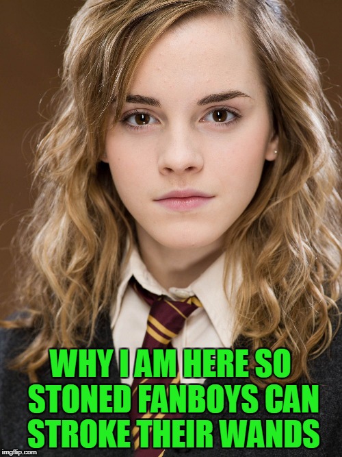 WHY I AM HERE SO STONED FANBOYS CAN STROKE THEIR WANDS | made w/ Imgflip meme maker