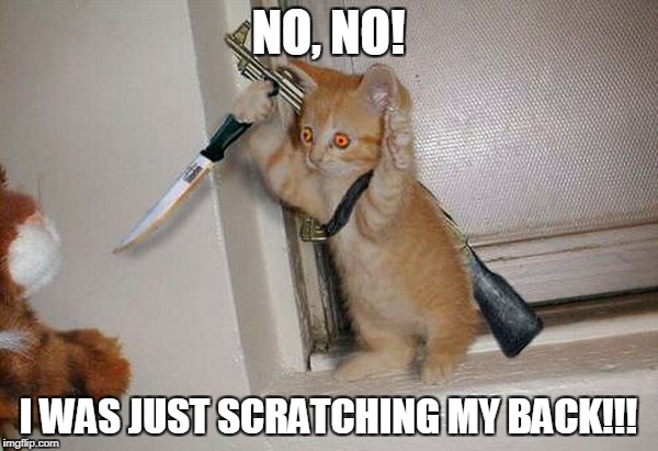 NO, NO! I WAS JUST SCRATCHING MY BACK!!! | made w/ Imgflip meme maker