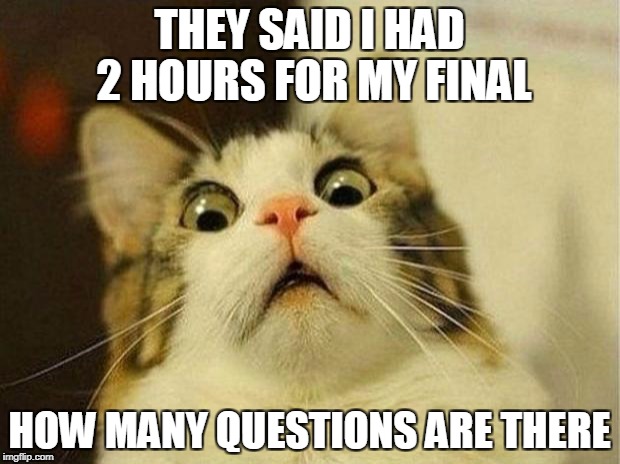 Scared Cat Meme | THEY SAID I HAD 2 HOURS FOR MY FINAL; HOW MANY QUESTIONS ARE THERE | image tagged in memes,scared cat | made w/ Imgflip meme maker