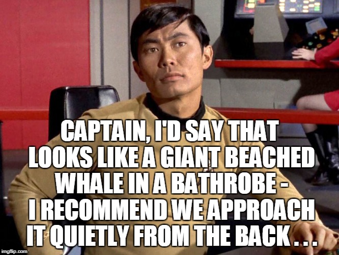 CAPTAIN, I'D SAY THAT LOOKS LIKE A GIANT BEACHED WHALE IN A BATHROBE - I RECOMMEND WE APPROACH IT QUIETLY FROM THE BACK . . . | made w/ Imgflip meme maker