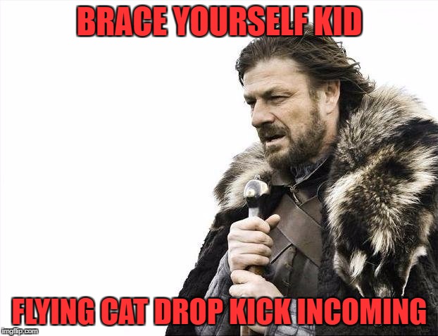 Brace Yourselves X is Coming Meme | BRACE YOURSELF KID FLYING CAT DROP KICK INCOMING | image tagged in memes,brace yourselves x is coming | made w/ Imgflip meme maker