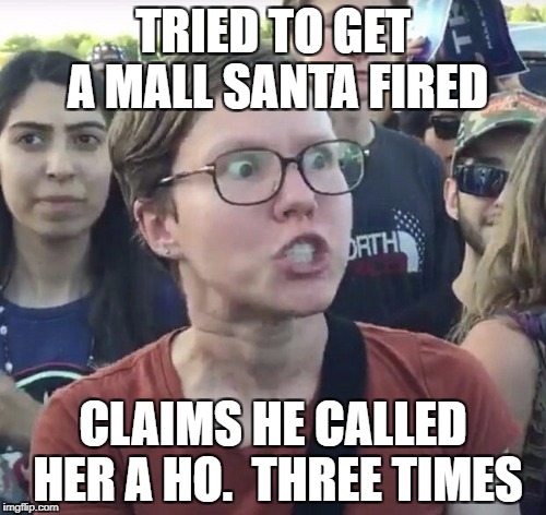 Triggered feminist | TRIED TO GET A MALL SANTA FIRED; CLAIMS HE CALLED HER A HO.  THREE TIMES | image tagged in triggered feminist | made w/ Imgflip meme maker