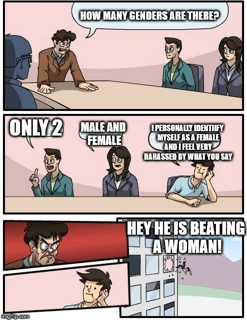 Boardroom Meeting Suggestion | HOW MANY GENDERS ARE THERE? ONLY 2; I PERSONALLY IDENTIIFY MYSELF AS A FEMALE AND I FEEL VERY HARASSED BY WHAT YOU SAY; MALE AND FEMALE; HEY HE IS BEATING A WOMAN! | image tagged in memes,boardroom meeting suggestion,2 genders,meme,funny | made w/ Imgflip meme maker