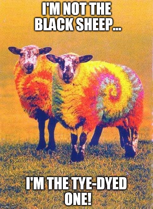 I'M NOT THE BLACK SHEEP... I'M THE TYE-DYED ONE! | image tagged in maureen | made w/ Imgflip meme maker