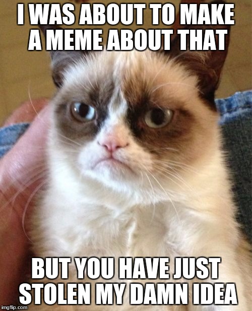 I WAS ABOUT TO MAKE A MEME ABOUT THAT BUT YOU HAVE JUST STOLEN MY DAMN IDEA | image tagged in memes,grumpy cat | made w/ Imgflip meme maker