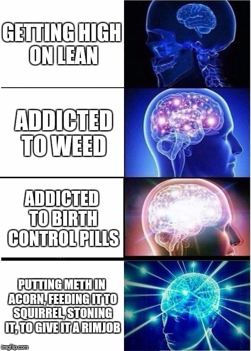 Expanding Brain Meme | GETTING HIGH ON LEAN; ADDICTED TO WEED; ADDICTED TO BIRTH CONTROL PILLS; PUTTING METH IN ACORN, FEEDING IT TO SQUIRREL, STONING IT, TO GIVE IT A RIMJOB | image tagged in memes,expanding brain | made w/ Imgflip meme maker