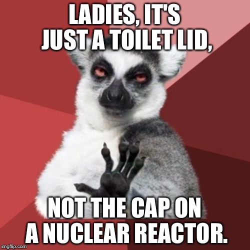 Women having meltdowns over toilet lids | LADIES, IT'S JUST A TOILET LID, NOT THE CAP ON A NUCLEAR REACTOR. | image tagged in memes,chill out lemur,women be trippin',toilet humor,nuclear war,toilet seat up | made w/ Imgflip meme maker