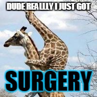 scared giraffe | DUDE REALLLY I JUST GOT; SURGERY | image tagged in scared giraffe | made w/ Imgflip meme maker