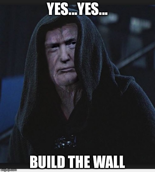 Sith Lord Trump | YES...YES... BUILD THE WALL | image tagged in sith lord trump | made w/ Imgflip meme maker