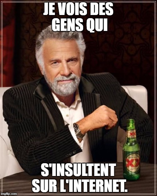 JE VOIS DES GENS QUI S'INSULTENT SUR L'INTERNET. | image tagged in memes,the most interesting man in the world | made w/ Imgflip meme maker