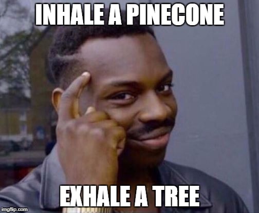 Pine cone logic | INHALE A PINECONE; EXHALE A TREE | image tagged in smart guy | made w/ Imgflip meme maker