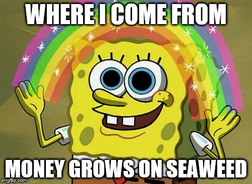 Imagination Spongebob | WHERE I COME FROM; MONEY GROWS ON SEAWEED | image tagged in memes,imagination spongebob,spongebob imagination,imagination | made w/ Imgflip meme maker