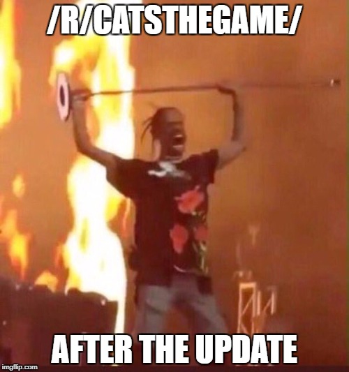 /r/catsthegame/ | /R/CATSTHEGAME/; AFTER THE UPDATE | image tagged in rage fire cats | made w/ Imgflip meme maker