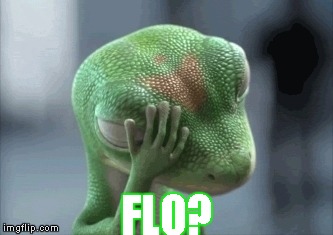 Geico gecko | FLO? | image tagged in memes,geico,gecko,flo,insurance,facepalm | made w/ Imgflip meme maker