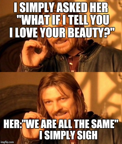 Open talk  | I SIMPLY ASKED HER 
"WHAT IF I TELL YOU I LOVE YOUR BEAUTY?"; HER:"WE ARE ALL THE SAME" 
     
I SIMPLY SIGH | image tagged in truth hurts | made w/ Imgflip meme maker