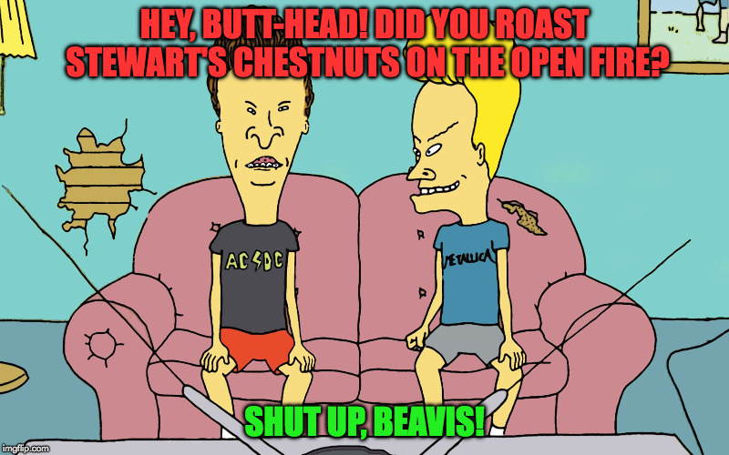 Beavis and Butt Head | HEY, BUTT-HEAD! DID YOU ROAST STEWART'S CHESTNUTS ON THE OPEN FIRE? SHUT UP, BEAVIS! | image tagged in beavis and butt head | made w/ Imgflip meme maker