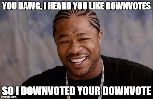 Yo Dawg Heard You Meme | YOU DAWG, I HEARD YOU LIKE DOWNVOTES SO I DOWNVOTED YOUR DOWNVOTE | image tagged in memes,yo dawg heard you | made w/ Imgflip meme maker