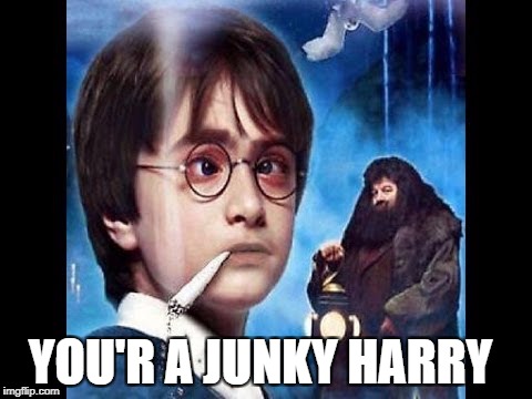 YOU'R A JUNKY HARRY | made w/ Imgflip meme maker