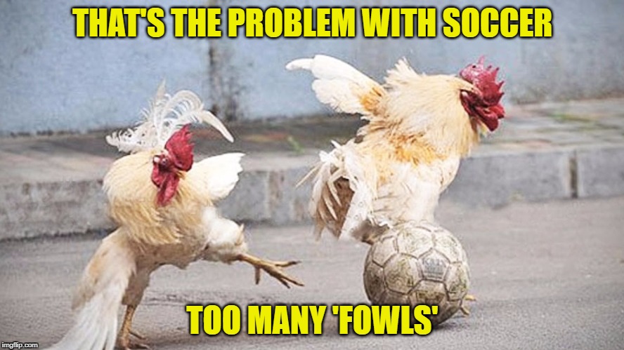 Am I Right? | THAT'S THE PROBLEM WITH SOCCER; TOO MANY 'FOWLS' | image tagged in memes,meme,soccer,chicken,chickens | made w/ Imgflip meme maker