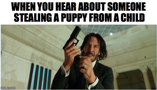 You’ve Triggered The Wrong Guy | WHEN YOU HEAR ABOUT SOMEONE STEALING A PUPPY FROM A CHILD | image tagged in john wick,puppy,glock | made w/ Imgflip meme maker