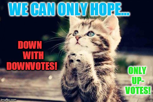 Down with Downvotes Weekend,  Dec 8-10, a JBmemegeek, 1forpeace, and isayisay event |  DOWN    WITH  DOWNVOTES! WE CAN ONLY HOPE... ONLY UP- VOTES! | image tagged in memes,down with downvotes weekend,hope,cat,praying | made w/ Imgflip meme maker