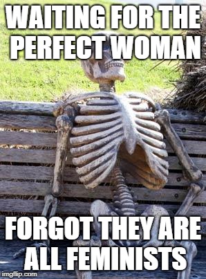 Waiting Skeleton Meme | WAITING FOR THE PERFECT WOMAN; FORGOT THEY ARE ALL FEMINISTS | image tagged in memes,waiting skeleton | made w/ Imgflip meme maker