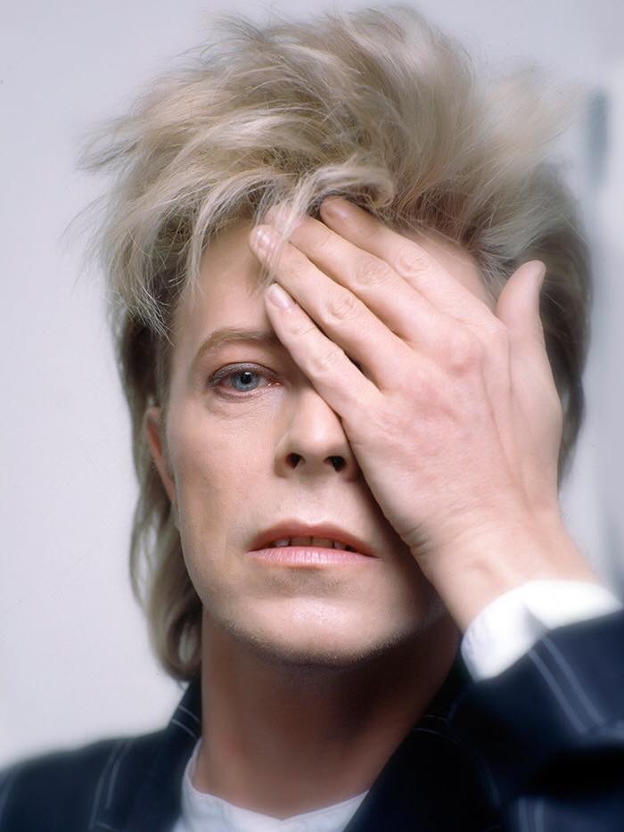 Bowie damn it Blank Meme Template