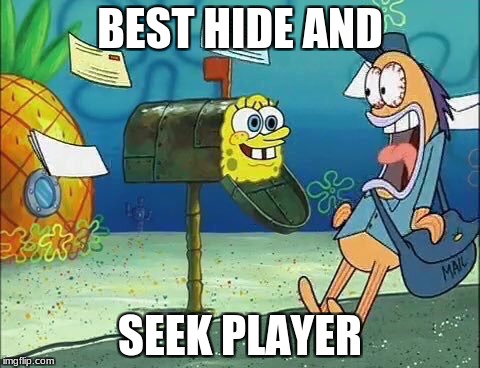 Socialy Awkward Spo  | BEST HIDE AND; SEEK PLAYER | image tagged in socialy awkward spo | made w/ Imgflip meme maker