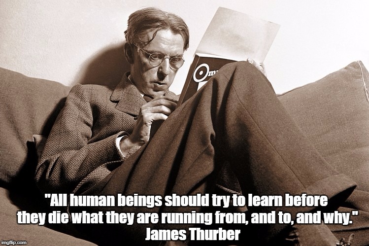 "All human beings should try to learn before they die what they are running from, and to, and why." James Thurber | made w/ Imgflip meme maker