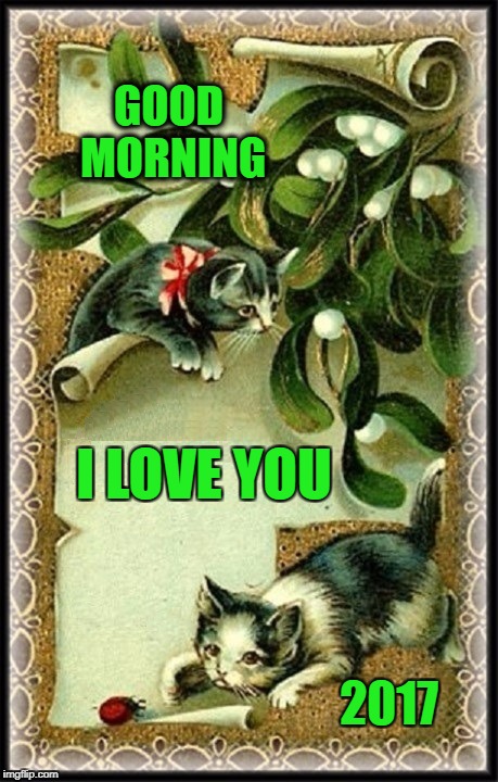 Positive Meme Weekend. It's My Event. Blah Blah Blah. Ripper13. 12/8-12/11 | GOOD MORNING; I LOVE YOU; 2017 | image tagged in good morning,i love you,cats,i love cats,positive meme weekend | made w/ Imgflip meme maker