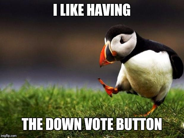 Unpopular Opinion Puffin Meme | I LIKE HAVING; THE DOWN VOTE BUTTON | image tagged in memes,unpopular opinion puffin | made w/ Imgflip meme maker