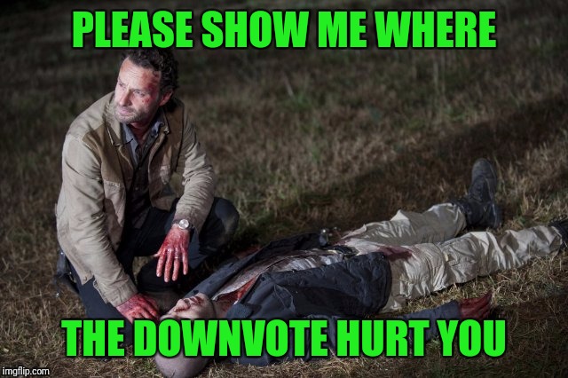 Rick and Shane | PLEASE SHOW ME WHERE THE DOWNVOTE HURT YOU | image tagged in rick and shane | made w/ Imgflip meme maker