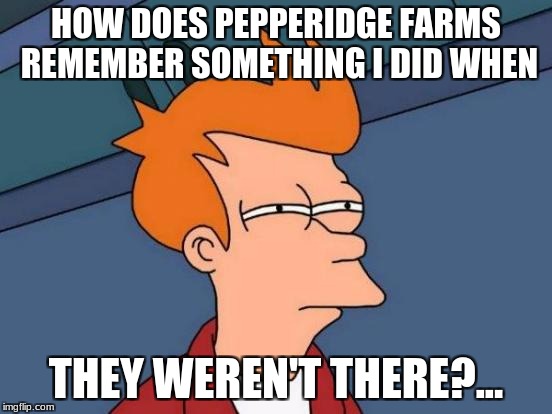 Futurama Fry Meme | HOW DOES PEPPERIDGE FARMS REMEMBER SOMETHING I DID WHEN; THEY WEREN'T THERE?... | image tagged in memes,futurama fry | made w/ Imgflip meme maker