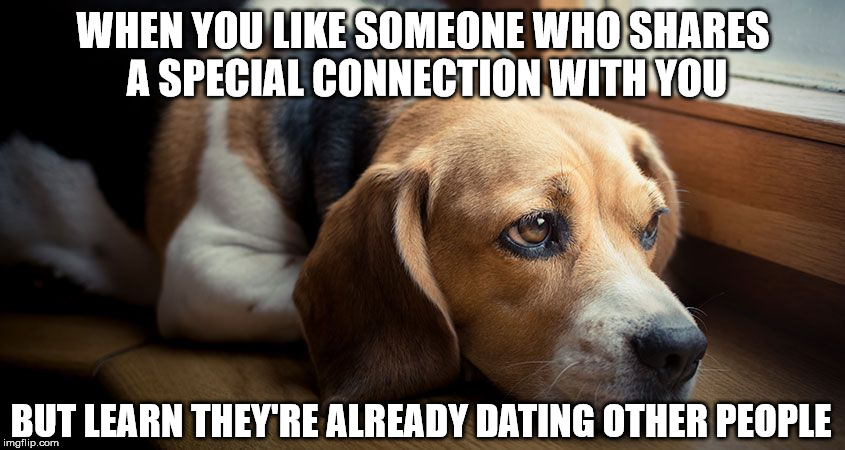A sad single dog | WHEN YOU LIKE SOMEONE WHO SHARES A SPECIAL CONNECTION WITH YOU; BUT LEARN THEY'RE ALREADY DATING OTHER PEOPLE | image tagged in sad,depression,single,single life | made w/ Imgflip meme maker