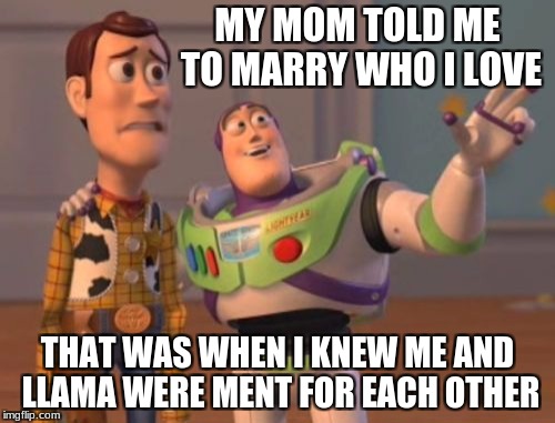 I want to marry... | MY MOM TOLD ME TO MARRY WHO I LOVE; THAT WAS WHEN I KNEW ME AND LLAMA WERE MENT FOR EACH OTHER | image tagged in memes,x x everywhere | made w/ Imgflip meme maker