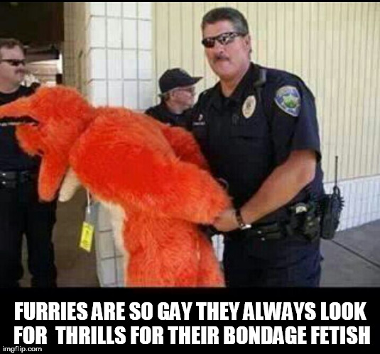 gay furries | FURRIES ARE SO GAY THEY ALWAYS LOOK FOR  THRILLS FOR THEIR BONDAGE FETISH | image tagged in furry,furries,fursuit,fetish,gay,bondage | made w/ Imgflip meme maker