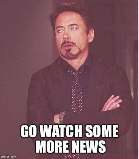 Face You Make Robert Downey Jr Meme | GO WATCH SOME MORE NEWS | image tagged in memes,face you make robert downey jr | made w/ Imgflip meme maker