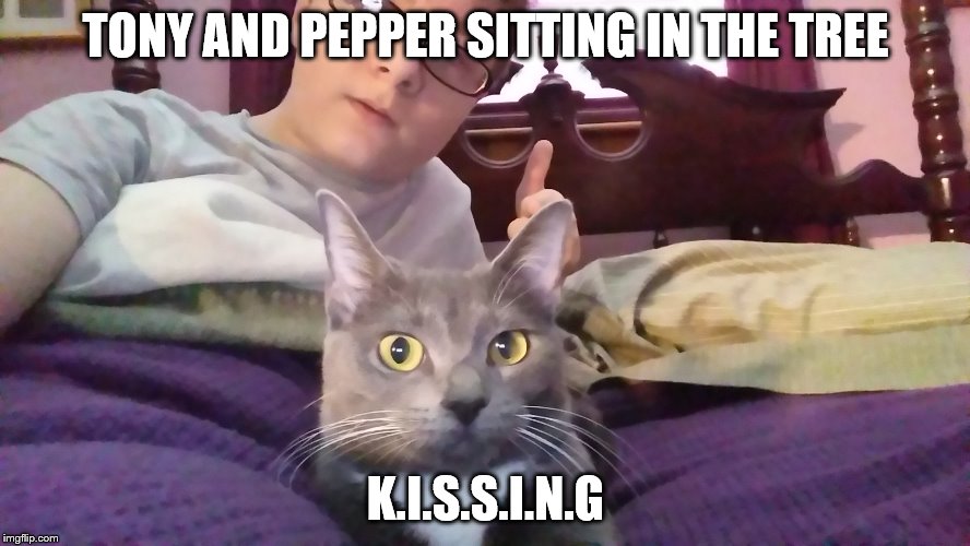TONY AND PEPPER SITTING IN THE TREE; K.I.S.S.I.N.G | image tagged in featured,cats | made w/ Imgflip meme maker