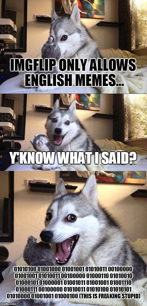 Bad Pun Dog | IMGFLIP ONLY ALLOWS ENGLISH MEMES... Y'KNOW WHAT I SAID? 01010100 01001000 01001001 01010011 00100000 01001001 01010011 00100000 01000110 01010010 01000101 01000001 01001011 01001001 01001110 01000111 00100000 01010011 01010100 01010101 01010000 01001001 01000100
(THIS IS FREAKING STUPID) | image tagged in memes,bad pun dog | made w/ Imgflip meme maker