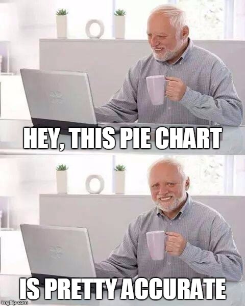HEY, THIS PIE CHART IS PRETTY ACCURATE | made w/ Imgflip meme maker