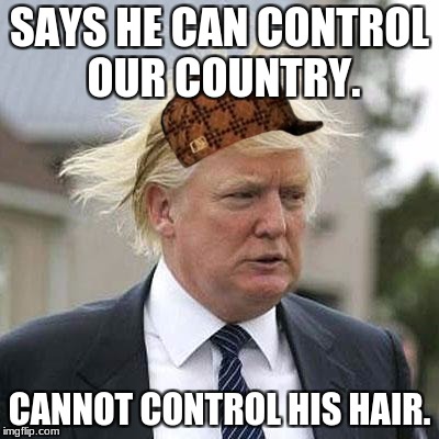 Donald Trump | SAYS HE CAN CONTROL OUR COUNTRY. CANNOT CONTROL HIS HAIR. | image tagged in donald trump,scumbag | made w/ Imgflip meme maker