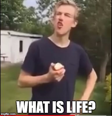 I have no Idea | WHAT IS LIFE? | image tagged in i have no idea what i am doing,life sucks,vegan4life | made w/ Imgflip meme maker