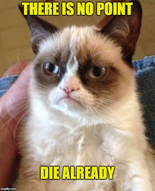 Grumpy Cat Meme | THERE IS NO POINT DIE ALREADY | image tagged in memes,grumpy cat | made w/ Imgflip meme maker