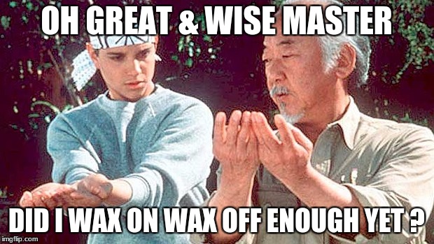 OH GREAT & WISE MASTER; DID I WAX ON WAX OFF ENOUGH YET ? | made w/ Imgflip meme maker