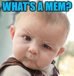 Skeptical Baby Meme | WHAT'S A MEM? | image tagged in memes,skeptical baby | made w/ Imgflip meme maker