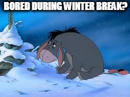 winterbreakeeyore | BORED DURING WINTER BREAK? | image tagged in bored | made w/ Imgflip meme maker