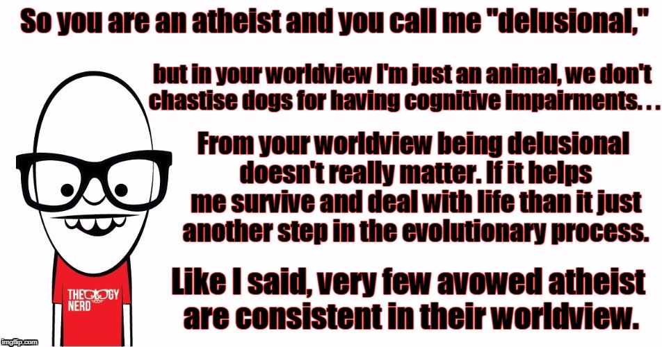 Theology Nerd  | So you are an atheist and you call me "delusional," Like I said, very few avowed atheist are consistent in their worldview. but in your worl | image tagged in theology nerd | made w/ Imgflip meme maker